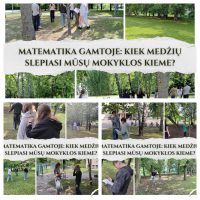 STEAM pamoka. Matematika gamtoje: kiek medžių slepiasi mūsų mokyklos kieme?